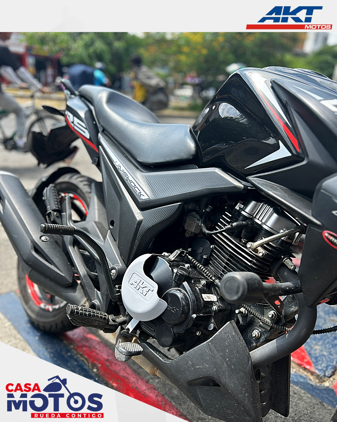 Protector de lujo CR4 y NKD